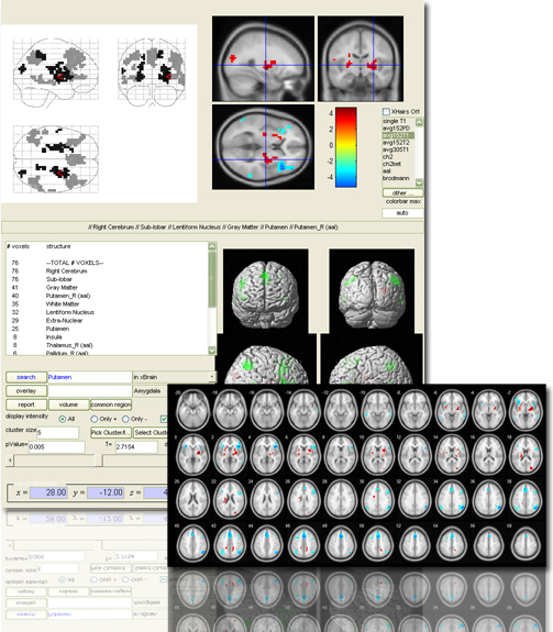 xjView Interface