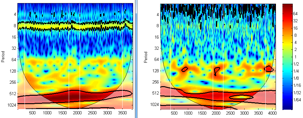 NIRS wavelet NIRS wavelet